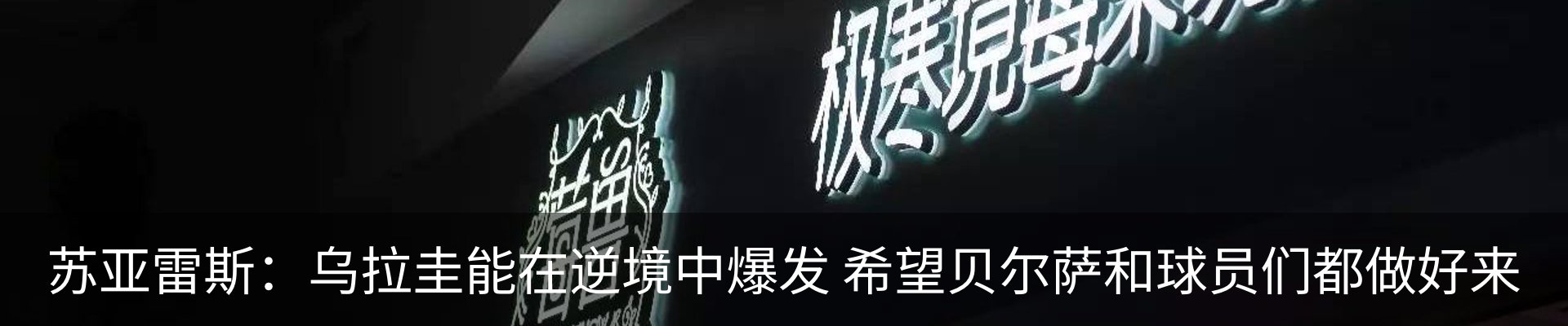 新闻动态